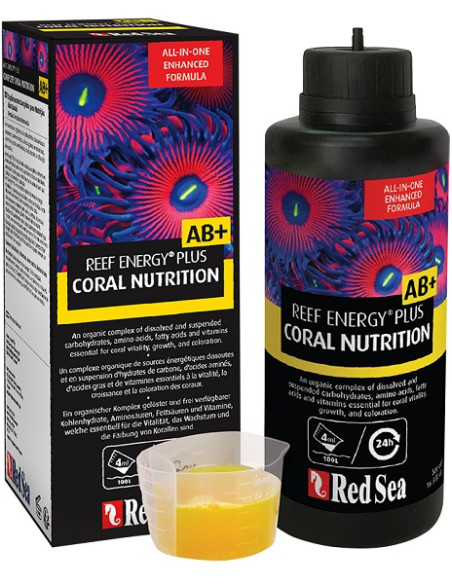 Reef Energy Plus
