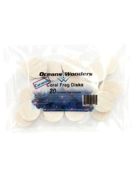 disk ceramica