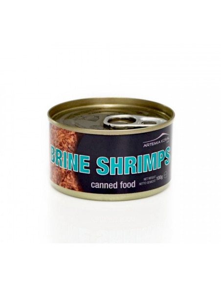 shrimp