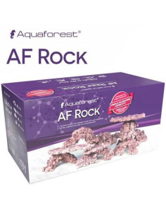 AF Rock ARCH