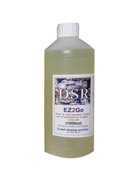 DSR-EZ 2GO