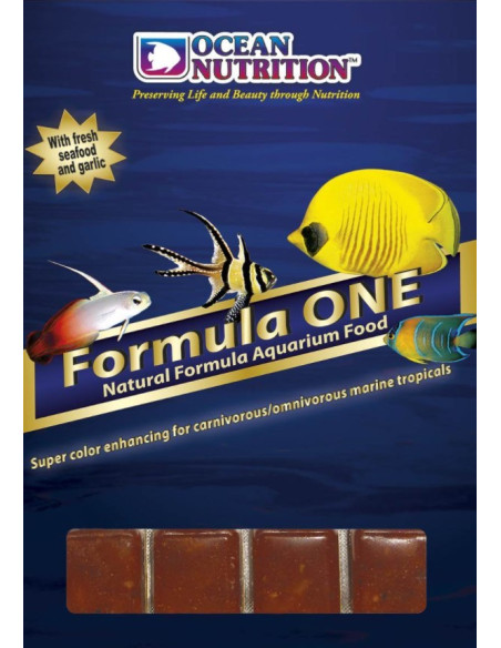 Frozen Formula One