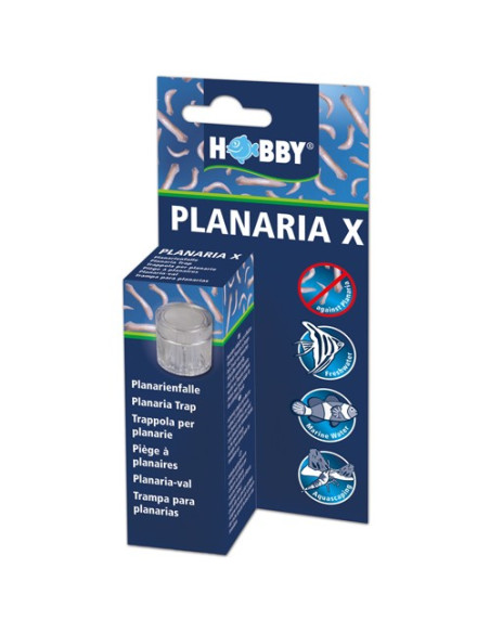 Planaria X 
