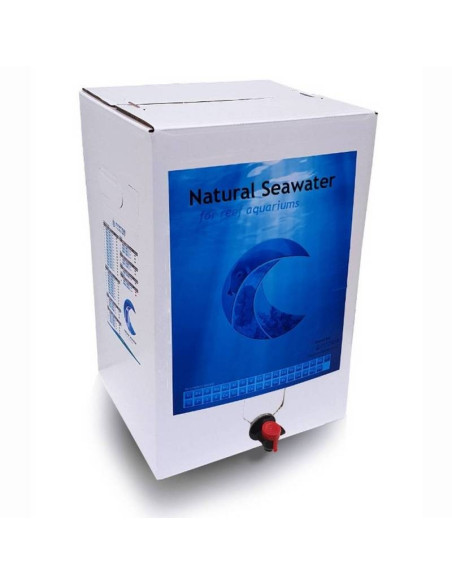 NATURAL SEA WATER