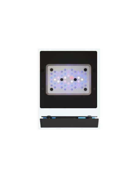 Radion XR15w blue G6 LED Light