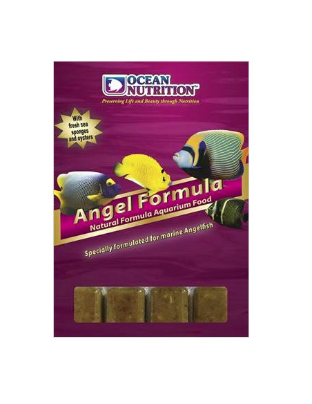 Frozen Formula Angel