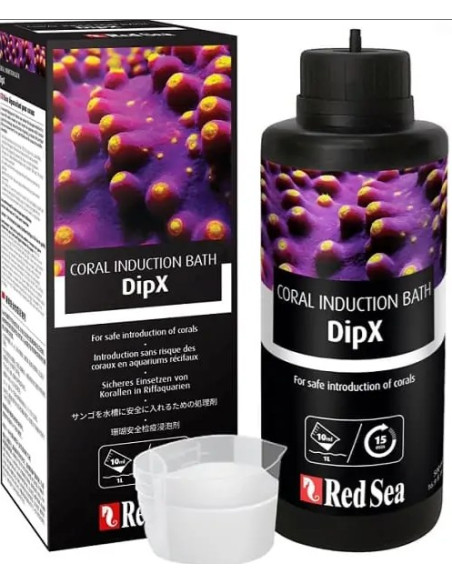 Dip X