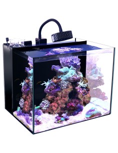 Next Wave 35 Aquarium Kit