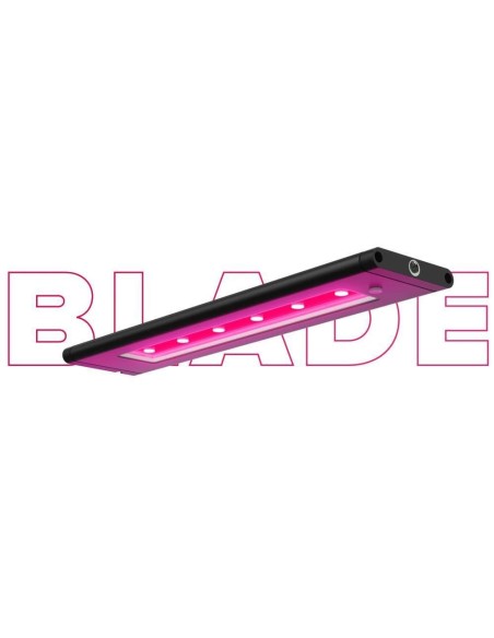 Blade REFUGIUM