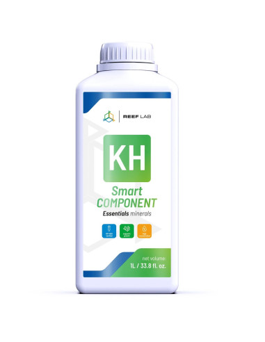 Smart Components kH