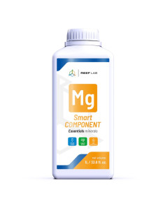Smart Components Mg (1 litro)