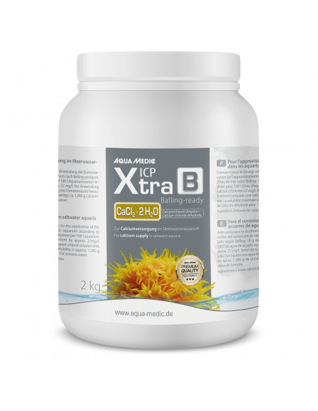 ICP XTRA B