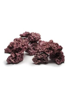 Coralline - ReefSaver Rock