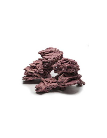 Coralline - Hybrid Rock