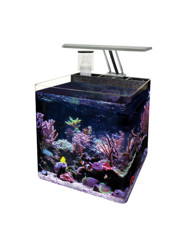 Acuario Nano Marine 1