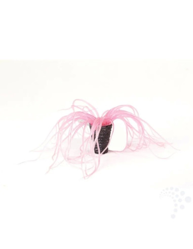 Natureform Coral Tube Anemone Peach Cerianthus sp.