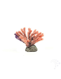 Natureform Coral Staghorn Purple Acropora sp.