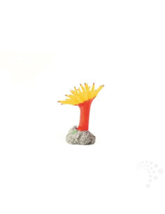 Natureform Coral Mini Carib. Anemone Yellow Condylactis sp.