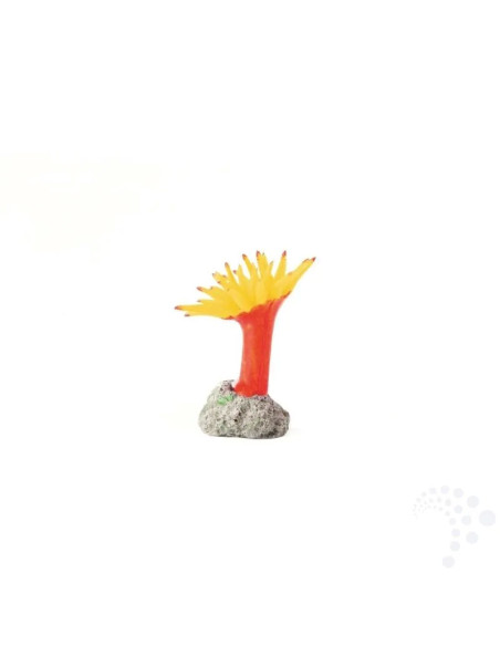 Natureform Coral Mini Carib. Anemone Yellow Condylactis sp.