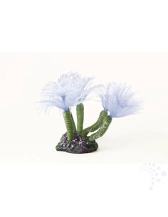 Natureform Coral Feather Duster Blue Bispira sp.