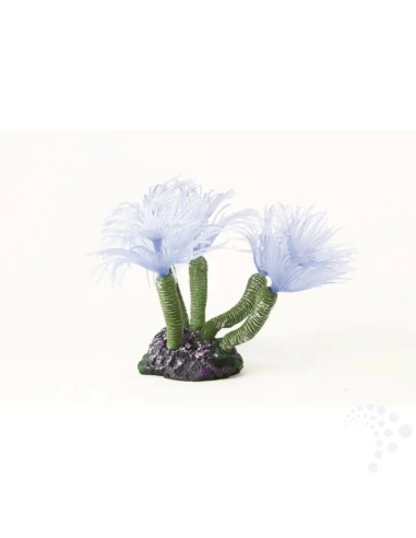 Natureform Coral Feather Duster Blue Bispira sp.