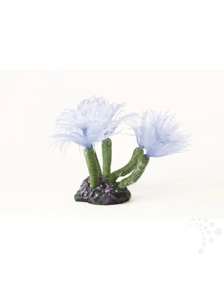 Natureform Coral Feather Duster Blue Bispira sp.
