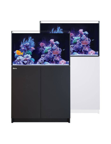 Reefer G3+ 250