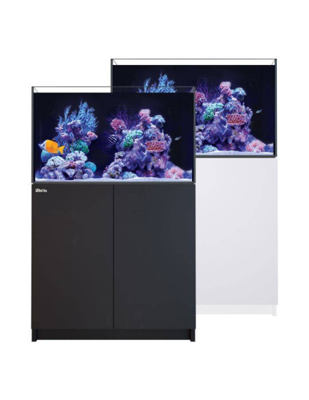 Reefer G3+ 250