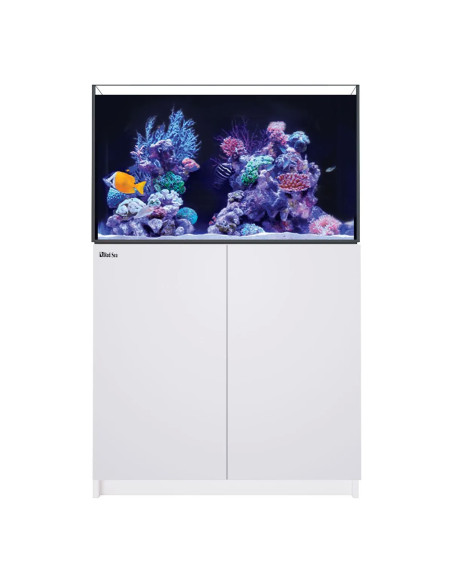 Reefer G3+ 250