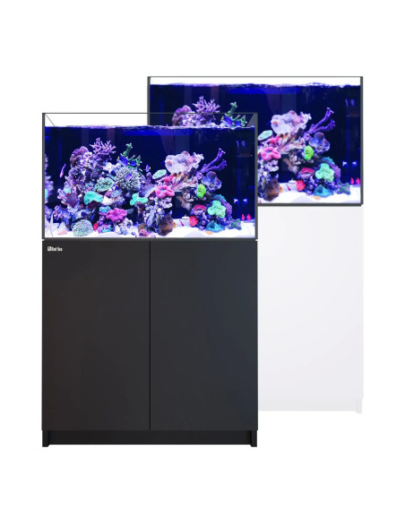 Reefer G3+ 300