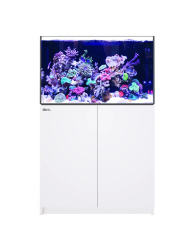 Reefer G3+ 300