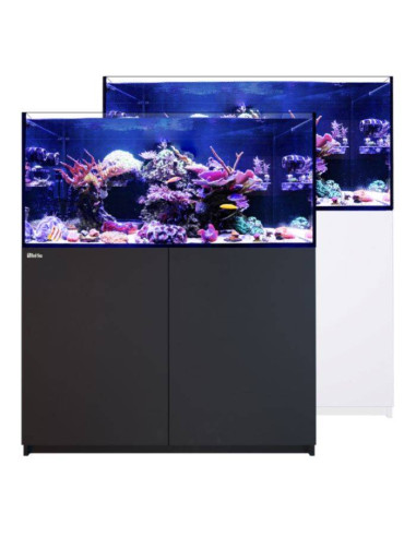 Reefer G3+ 350