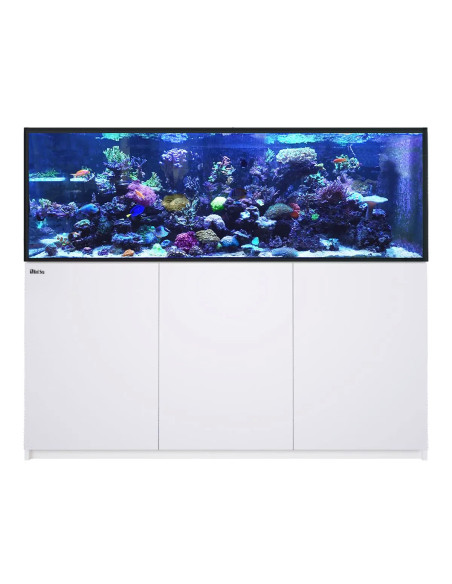 Reefer G3+ XXL 750