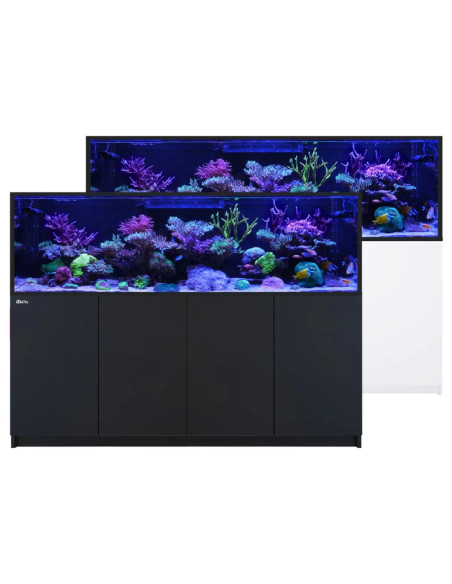 Reefer G3+ S - 1000