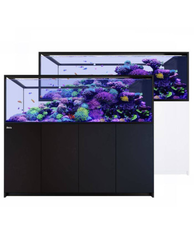 Reefer Península G3 + S950