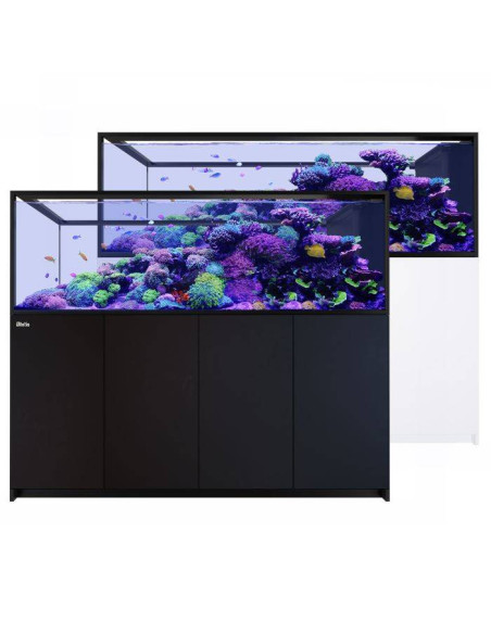 Reefer Península G3 + S950