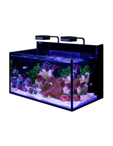 MAX NANO XXL G2