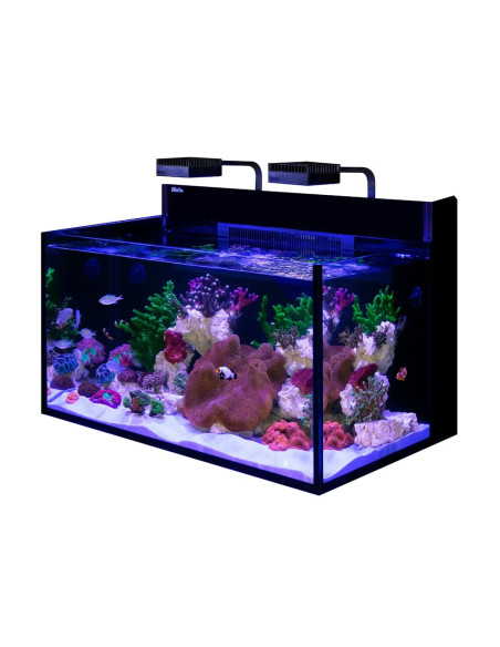 MAX NANO XXL G2
