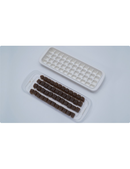 MAXSPECT, FROZEN FOODS MOLD