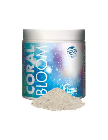 Coral Bloom