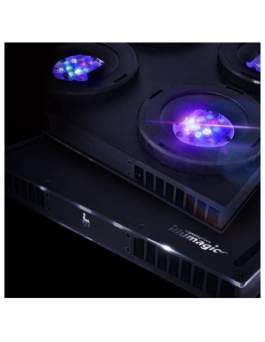X4 LED - REEFER