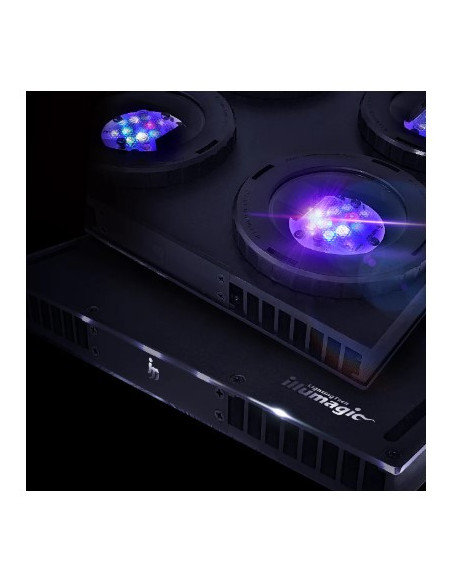 X4 LED - REEFER
