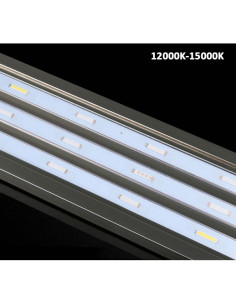 MARINE LED