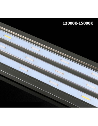 MARINE LED