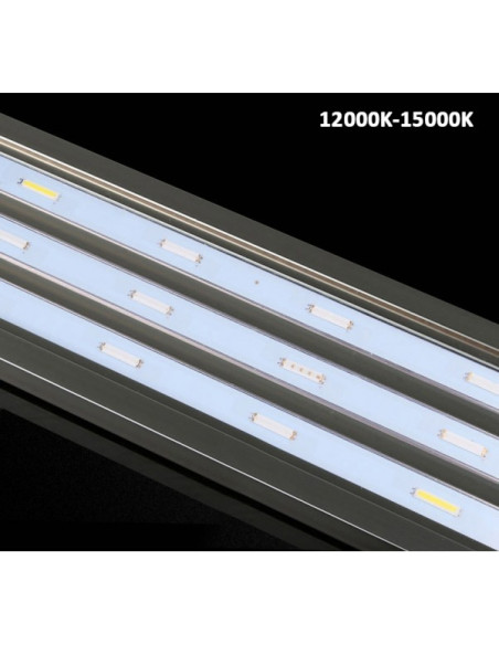MARINE LED