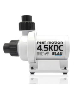 Reef Motion 4,5KDC