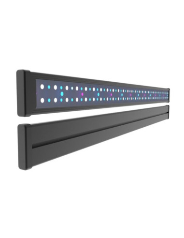 Bar Light