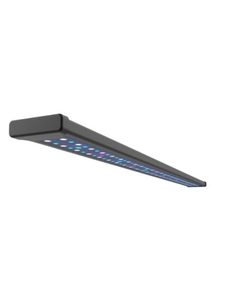 Bar Light