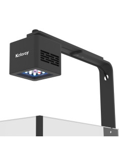 Foco G160 Reef Light