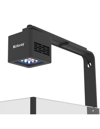 Foco G160 Reef Light